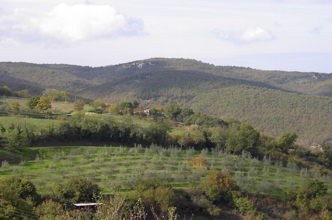 Radda in Chianti, Tuscany, Italy 4 - 11760057