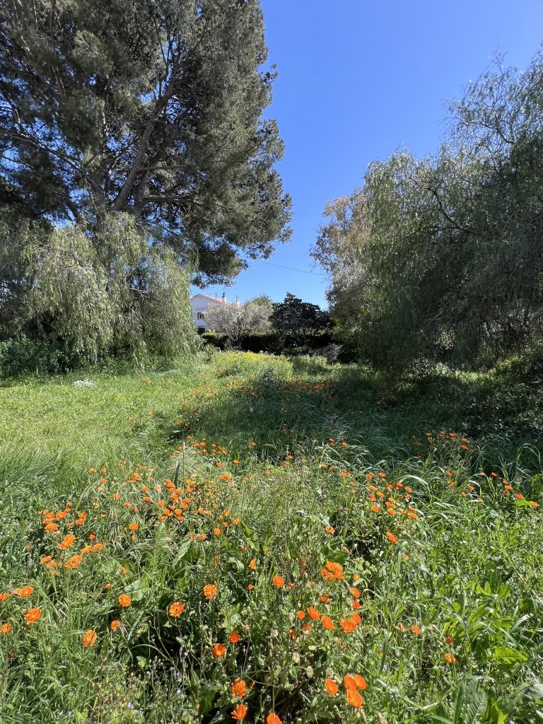 Terreno a Tolone, Provenza-Alpi-Costa Azzurra, Francia 1 - 16047970