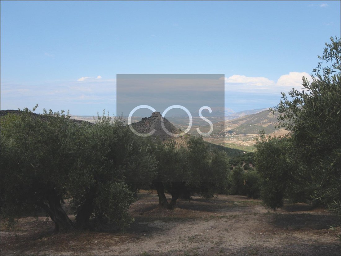 Land in Jaen, Andalusia, Spain 4 - 15368497