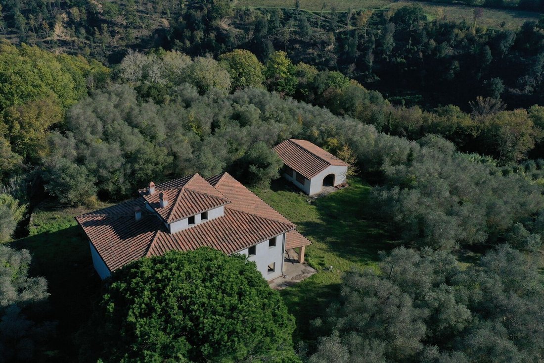 House in Palaia, Tuscany, Italy 3 - 12611674