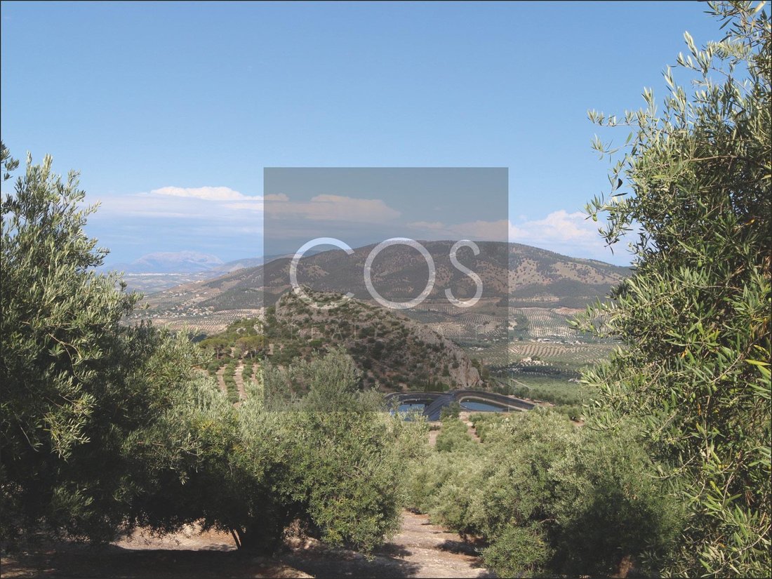 Land in Jaen, Andalusia, Spain 5 - 15368497