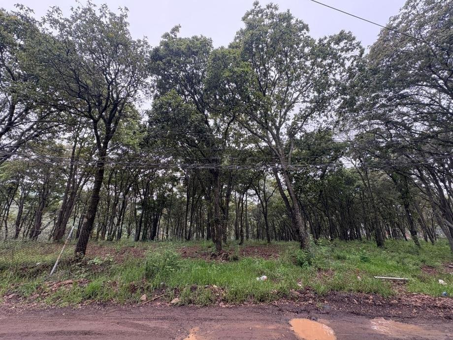 Land in Ciudad López Mateos, State of Mexico, Mexico 1 - 16048574