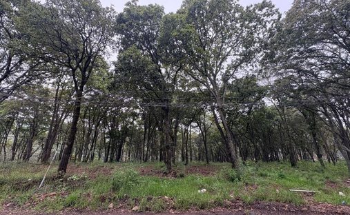Terreno a Ciudad López Mateos, Stato del Messico, Messico 1