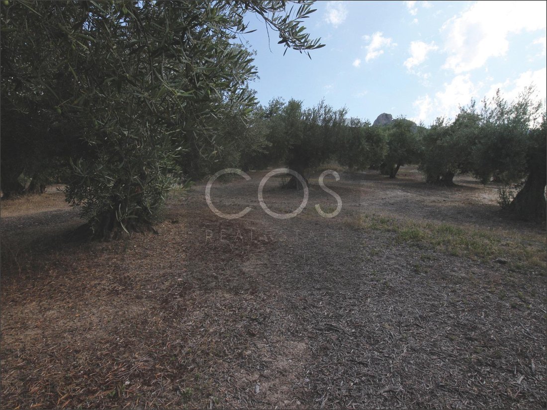 Land in Jaen, Andalusia, Spain 3 - 15368497