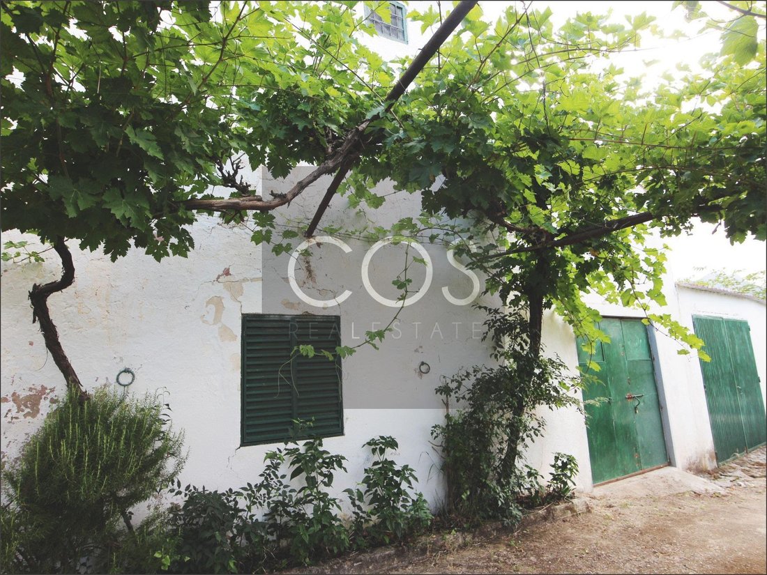 Land in Jaen, Andalusia, Spain 1 - 15368497