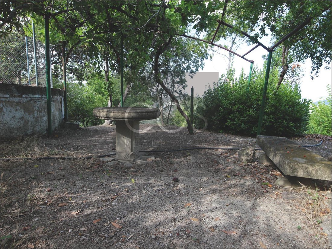 Land in Jaen, Andalusia, Spain 2 - 15368497