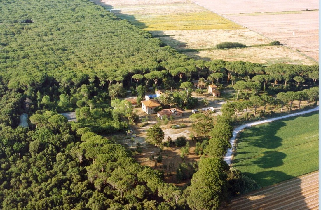 Country House in Castagneto Carducci, Tuscany, Italy 4 - 13962267