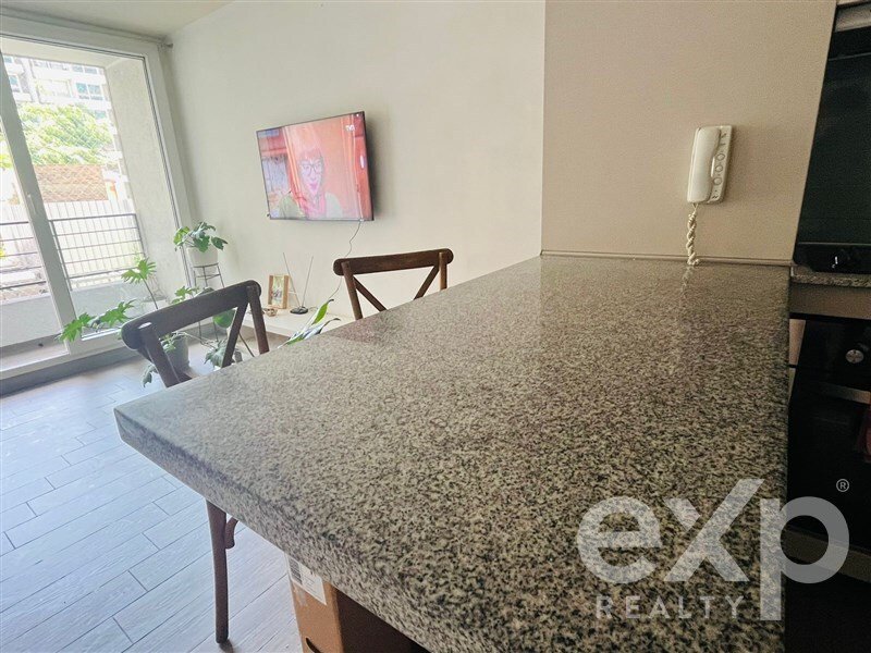 Apartment in Santiago, Santiago Metropolitan Region, Chile 3 - 16049631