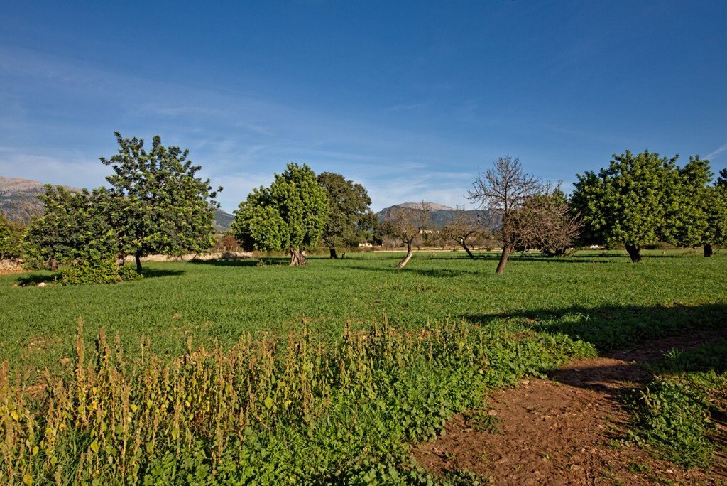 Selva, Balearic Islands, Spain 1 - 16039547