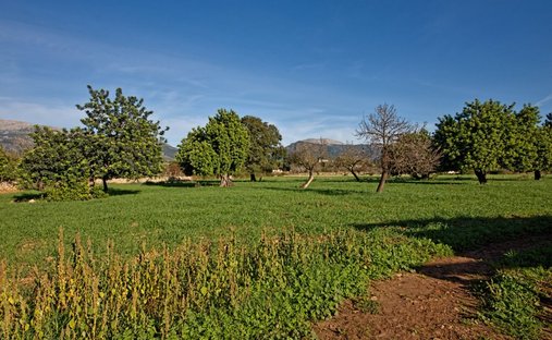 Corps de ferme à Selva, Îles Baléares, Espagne 1
