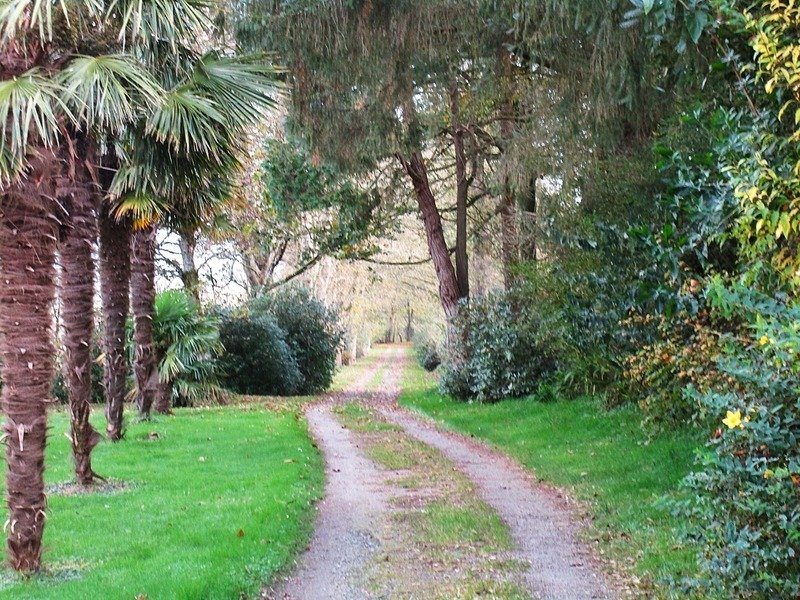 Château des Rêves: A Renascent Castle in Brittany’s Emerald Heart - 5