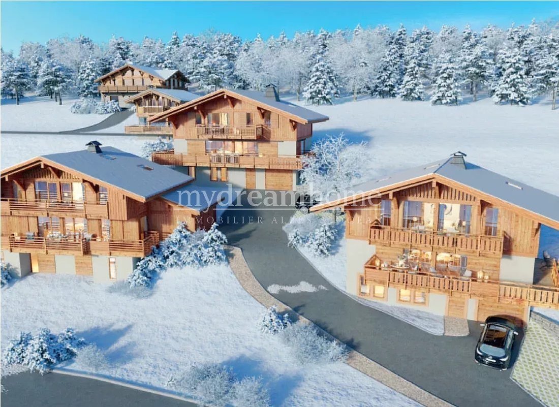 Chalet in Praz-sur-Arly, Auvergne-Rhône-Alpes, France 3 - 16047903