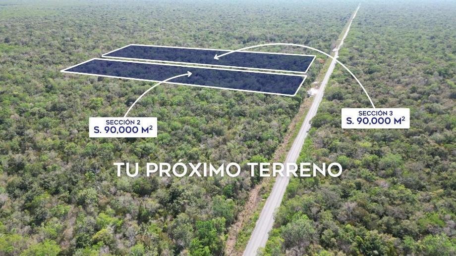 Land in Puerto Morelos, Quintana Roo, Mexico 1 - 15012364