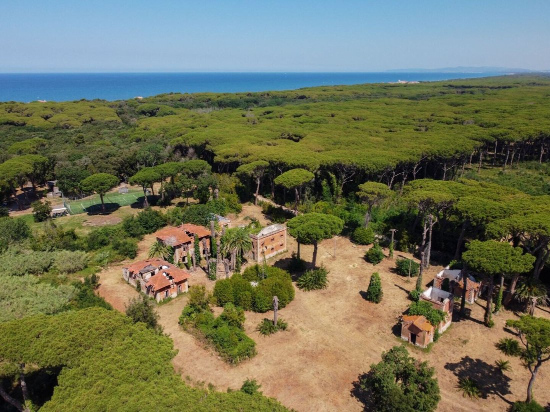 Country House in Castagneto Carducci, Tuscany, Italy 1 - 13962267