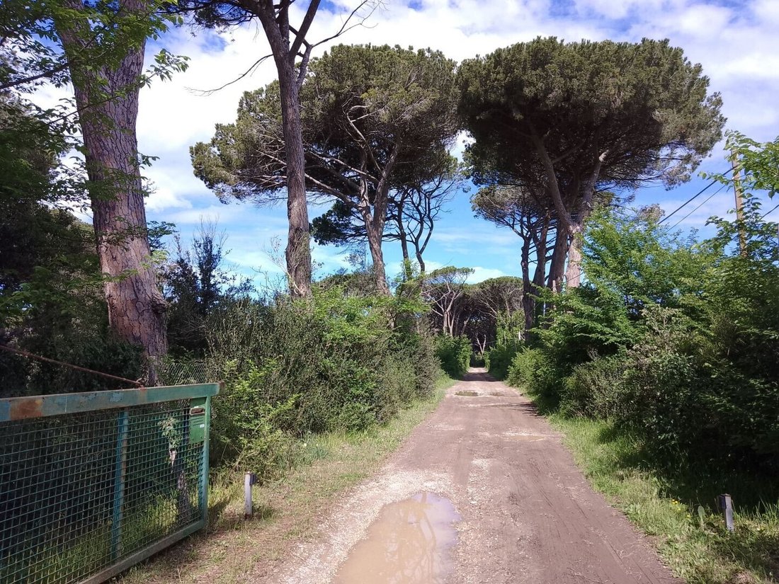 Country House in Castagneto Carducci, Tuscany, Italy 5 - 13962267