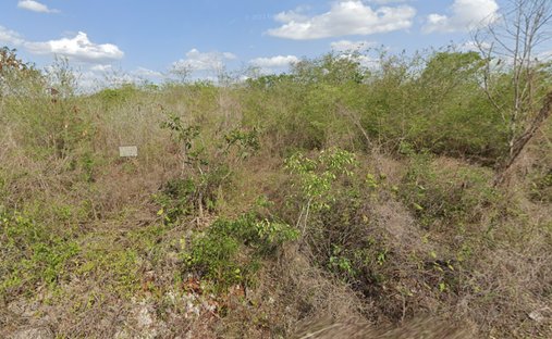 Terrain à Chablekal, Yucatán, Mexique 1