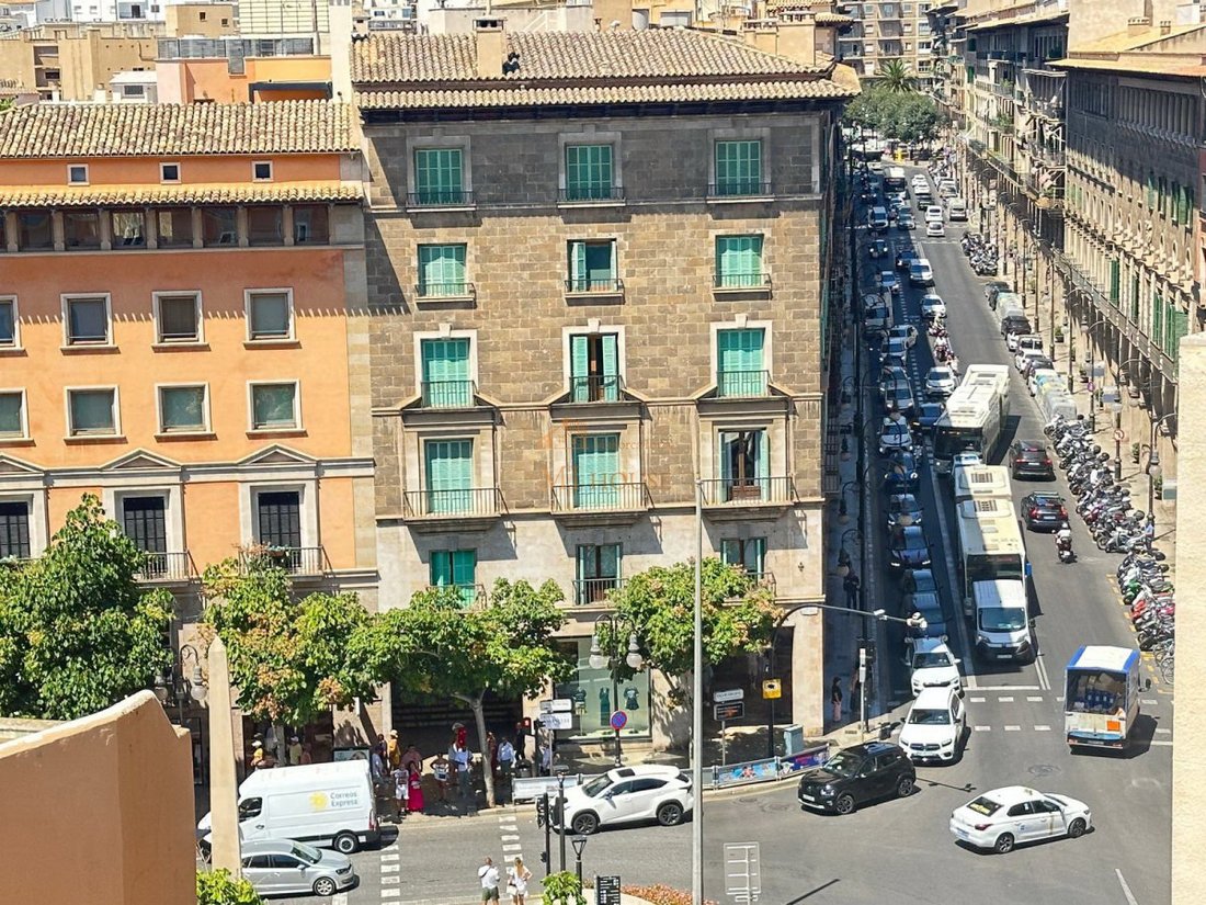 Apartment in Palma, Balearic Islands, Spain 1 - 16051601