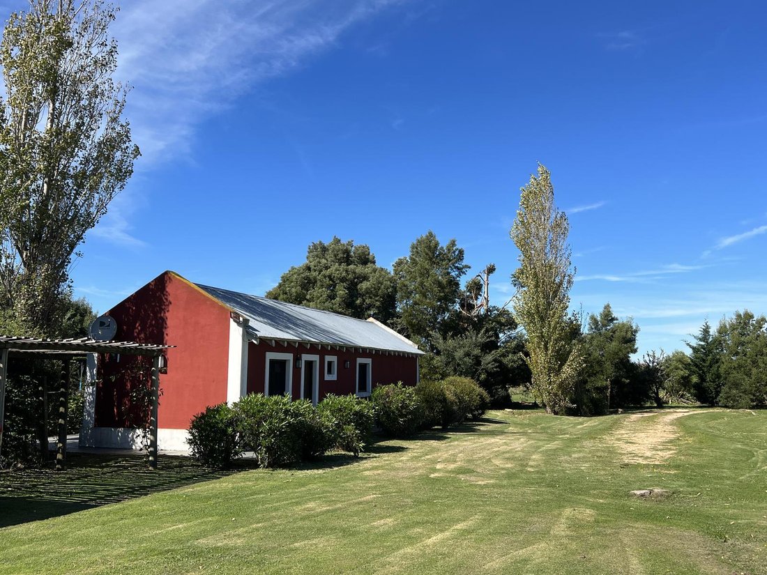 Finca in San Carlos, San Carlos, Uruguay 4 - 16053760