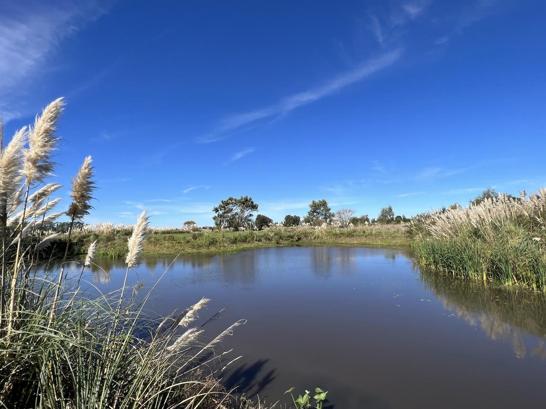 Finca in San Carlos, San Carlos, Uruguay 5 - 16053760