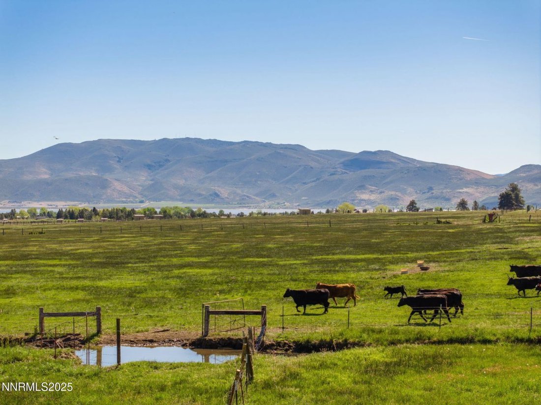 Land in New Washoe City, Nevada, United States 3 - 16054861