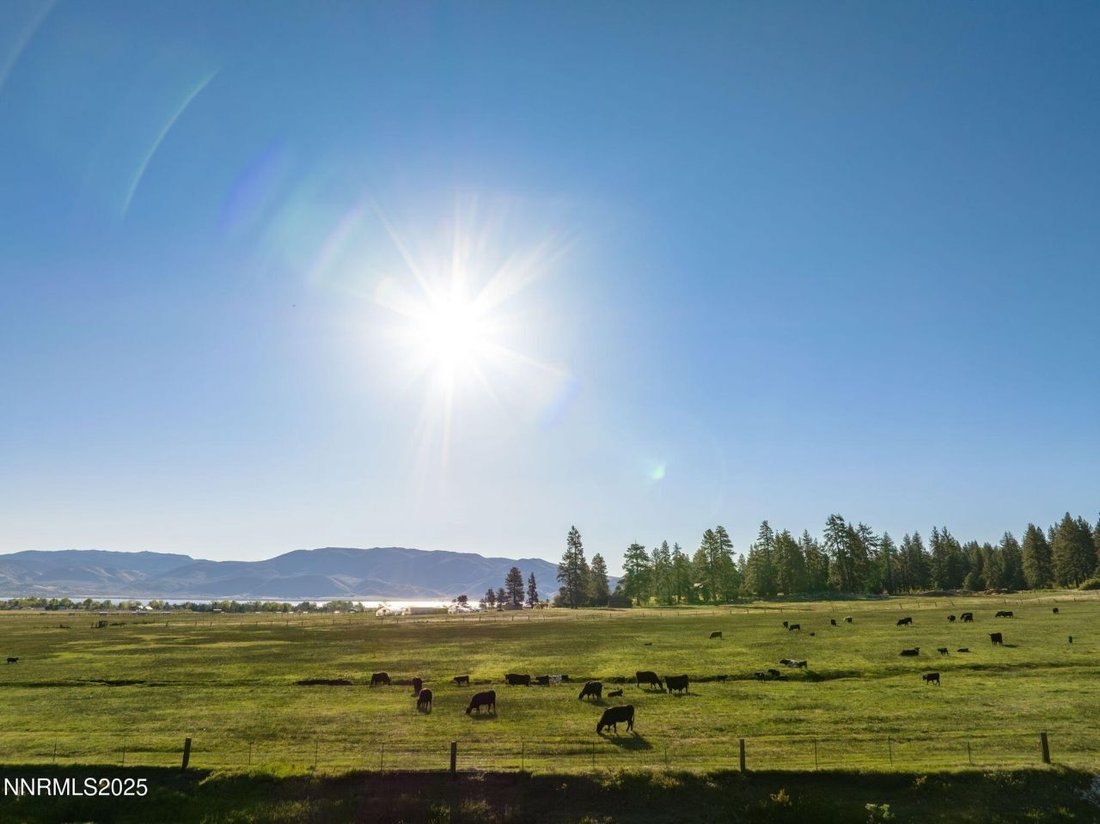 Land in New Washoe City, Nevada, United States 5 - 16054861