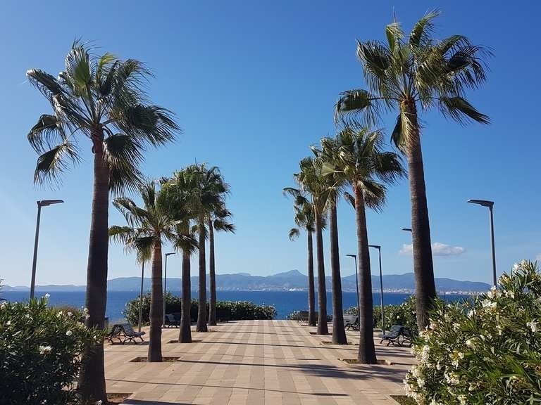 Land in Llucmajor, Balearic Islands, Spain 1 - 16053040