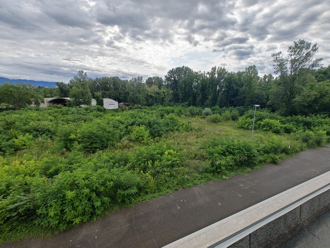 Land in Lucinico, Gorizia, Friuli – Venezia Giulia 2 - 16040238