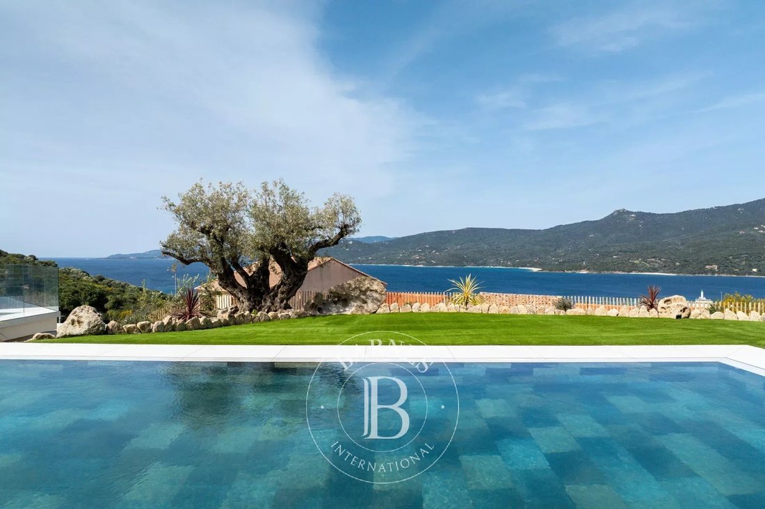 Villa in Propriano, Corsica, France 1 - 16052882
