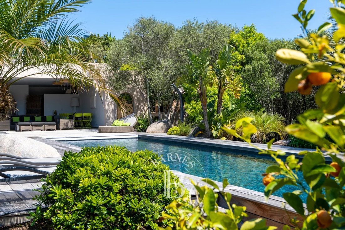 Villa in Bonifacio / Bunifaziu, Corsica, France 4 - 16052873