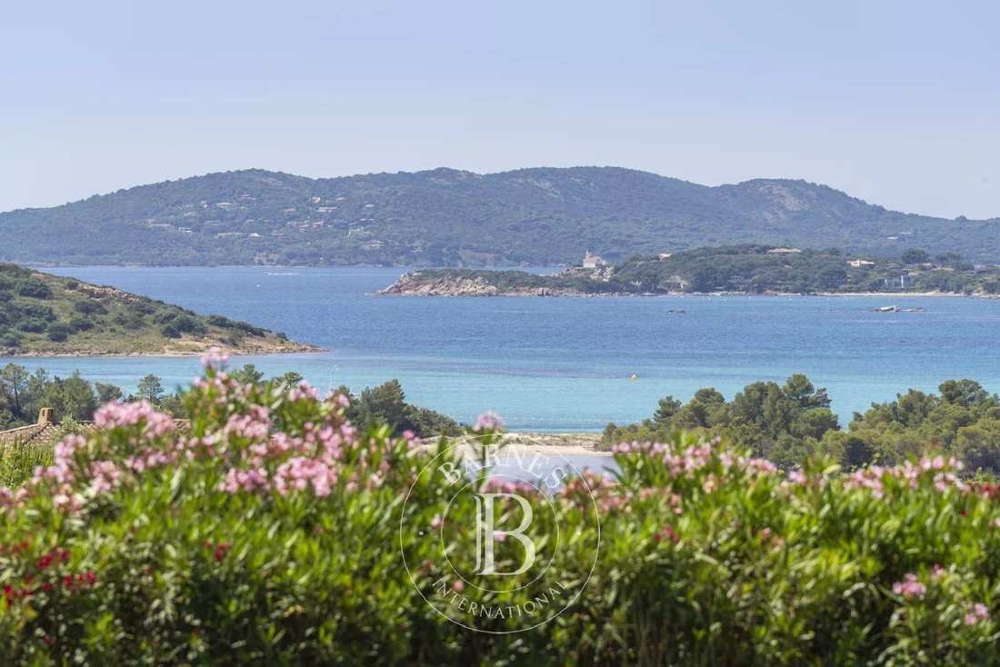 Villa in Zonza, Corsica, France 3 - 16052889