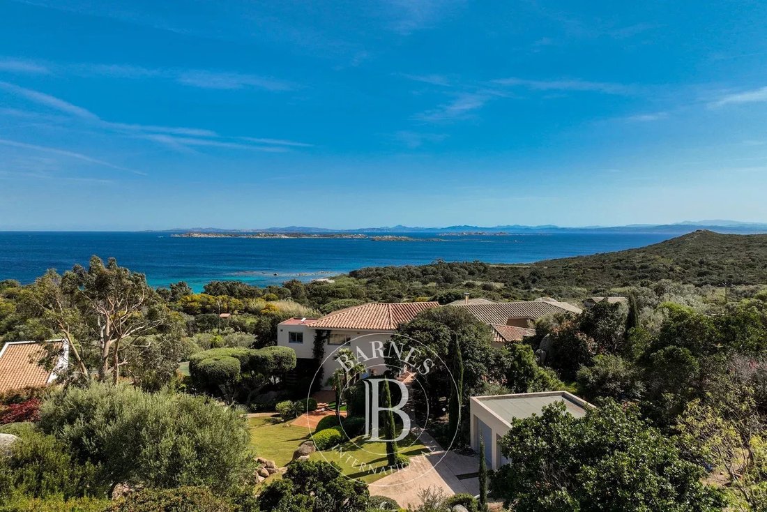 Villa in Bonifacio / Bunifaziu, Corsica, France 5 - 16052873