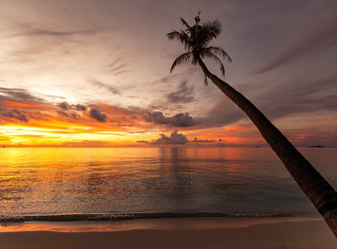 Private Island in Bandos, Maldives 5 - 16056833
