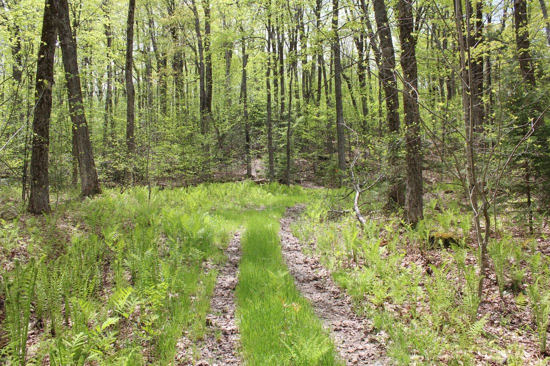 Land in Woodstock, Vermont, United States 3 - 16062624