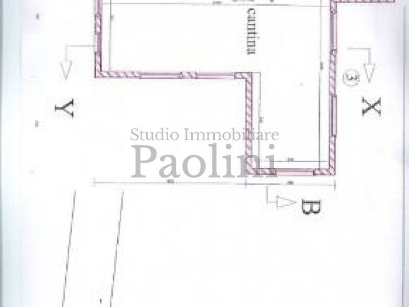 Villa in Cinquale, Montignoso, Tuscany 4 - 16060944