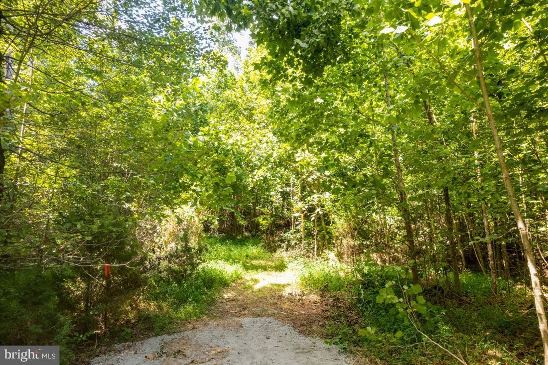 Land in Haywood, Virginia, United States 3 - 16039246