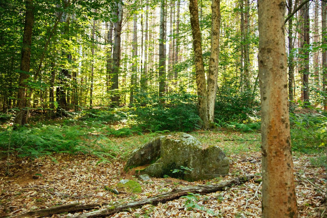 Land in Monticello, New York, United States 2 - 16056682