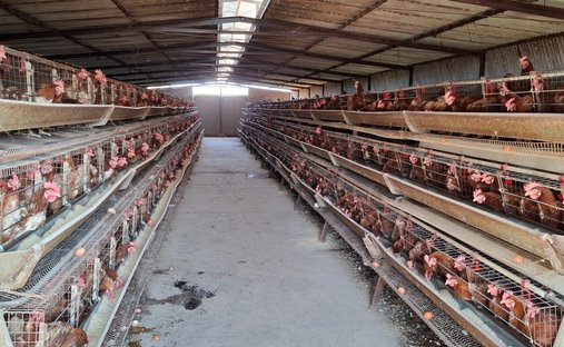 Azienda agricola in Bela-Bela, Provincia del Limpopo, Sudafrica 1