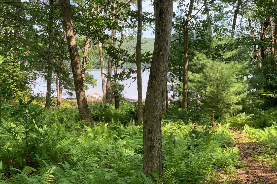 Land in Monticello, New York, United States 3 - 10913039