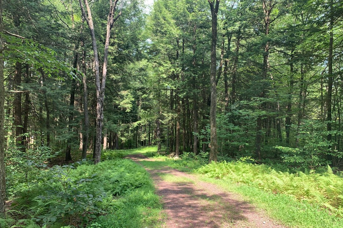 Land in Monticello, New York, United States 5 - 10913039