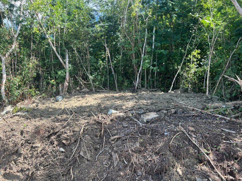 Land in Leonards, Tortola, British Virgin Islands 3 - 16061201