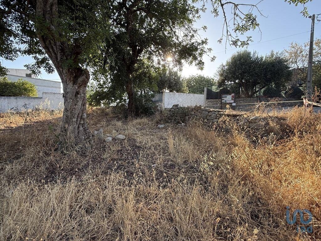 Land in Santa Barbara de Nexe, Algarve, Portugal 5 - 16056536