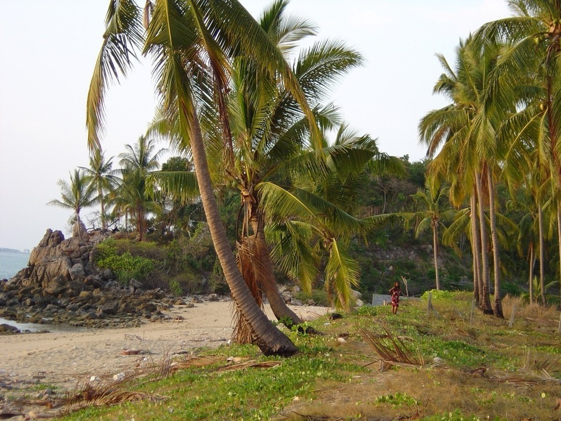 Prime 4900 sqm Beachfront Land for Sale - Great for Luxury Development in Ko Lanta, Krabi