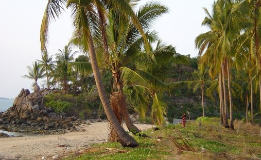 Terreno a Sala Dan, Provincia di Krabi, Thailandia 1