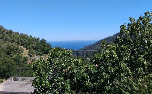 Villa in Gorbio, Provence-Alpes-C�te d'Azur, France 1