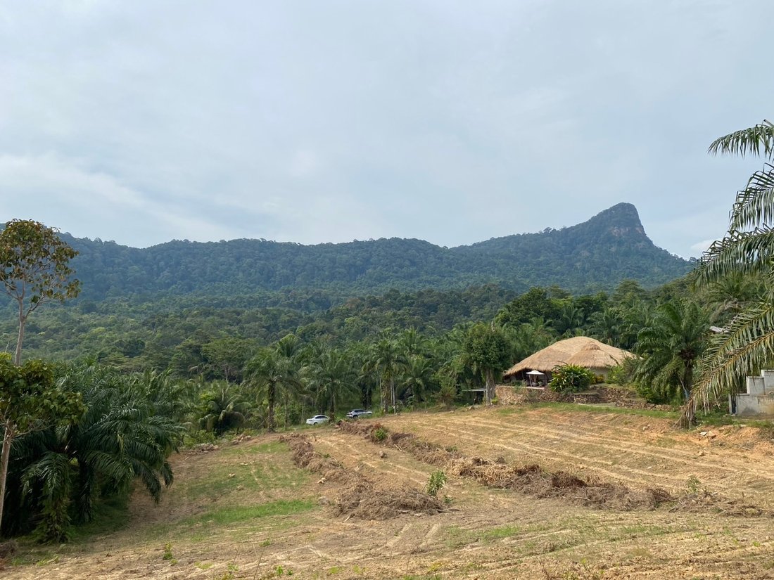 10-0-81 Rai Land on a Hill with 360° Mountain View For Sale in Krabi