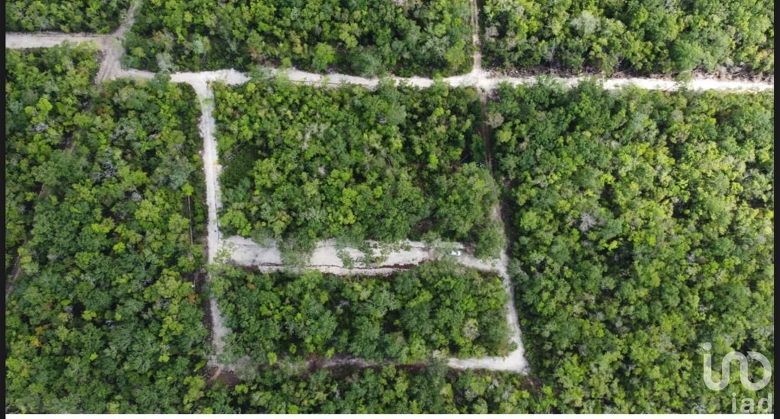 Land in Tulum, Quintana Roo, Mexico 3 - 16057010