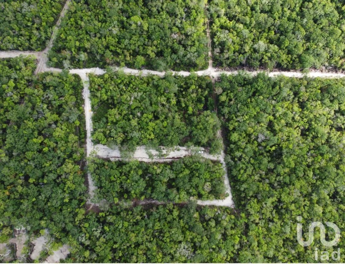 Land in Tulum, Quintana Roo, Mexico 1 - 16057010