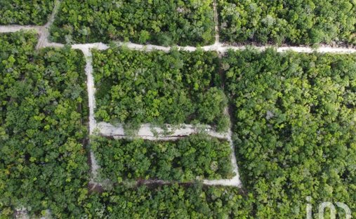 Land in Tulum, Quintana Roo, Mexico 1