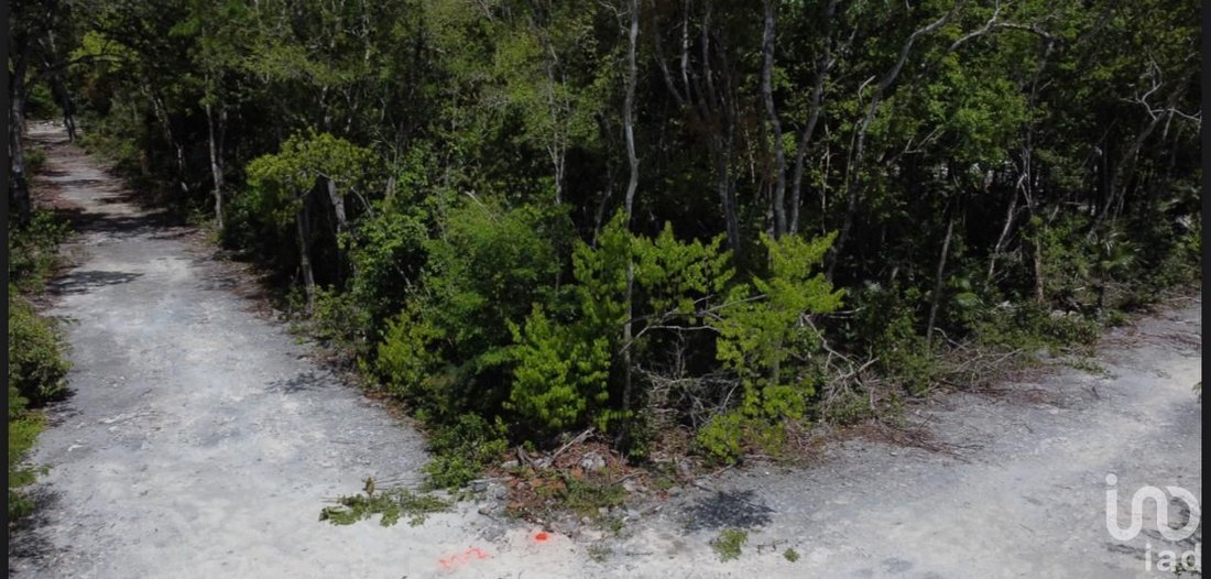 Land in Tulum, Quintana Roo, Mexico 2 - 16057010