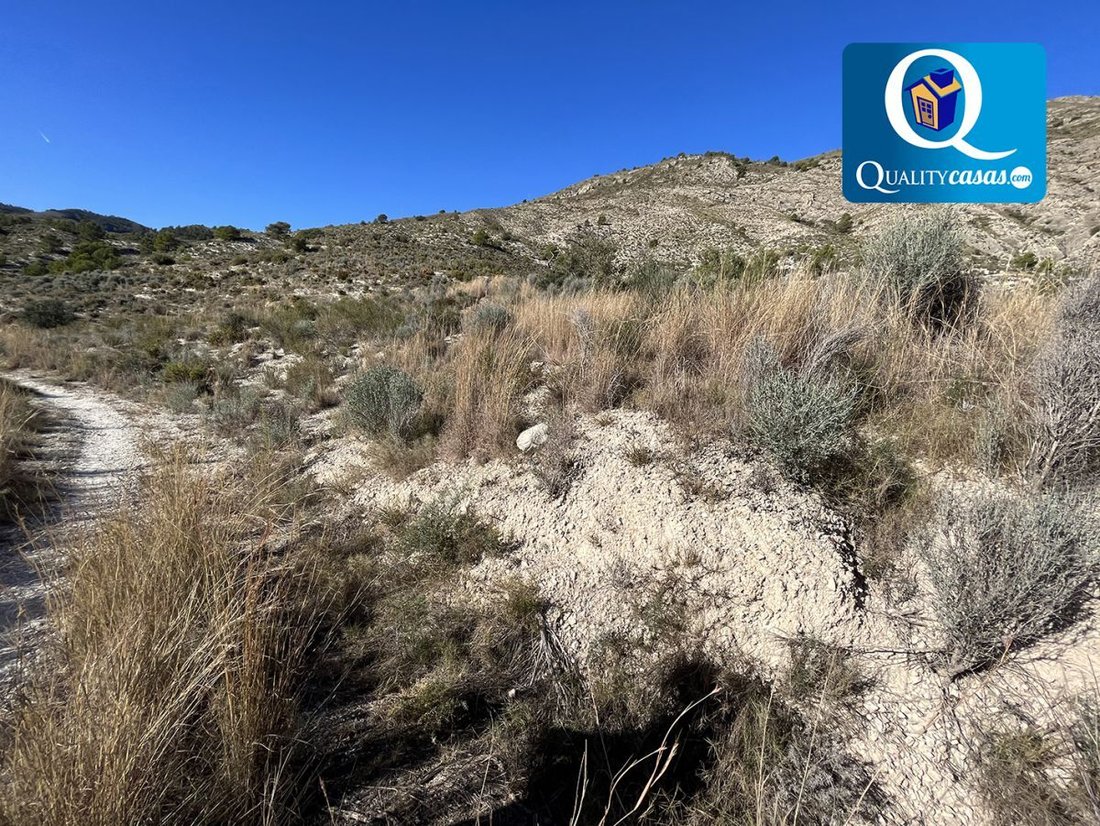 Land in Aigues, Valencian Community, Spain 5 - 16063327
